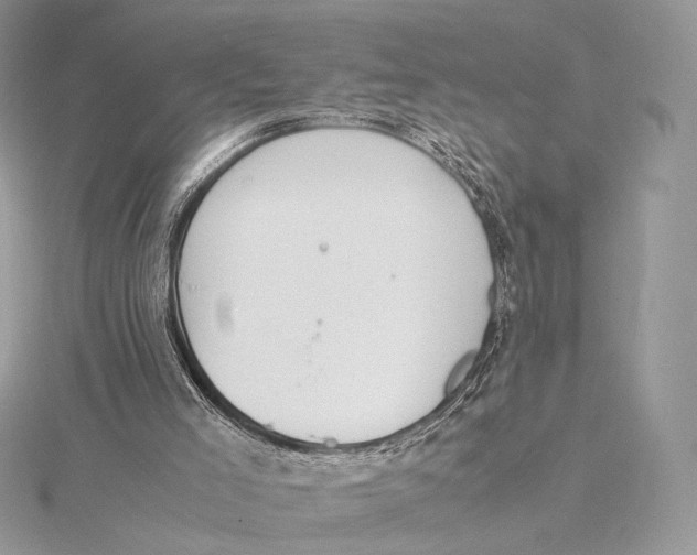 X0000115780005200912041501