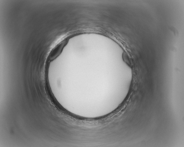 X0000115780008200912041501