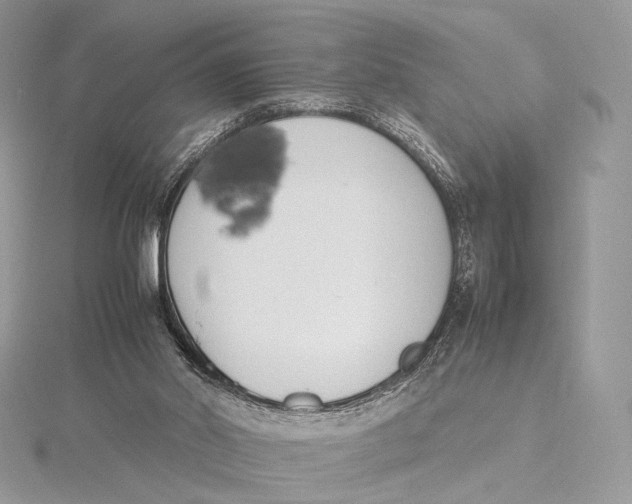 X0000115780014200912041501