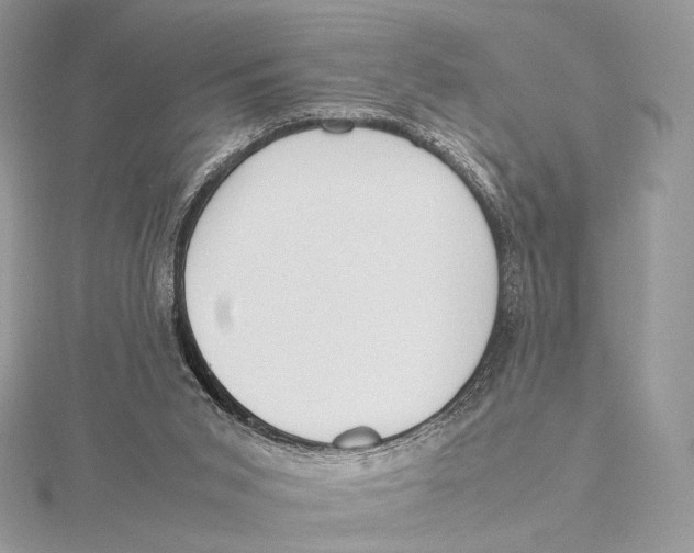 X0000115780015200912041501