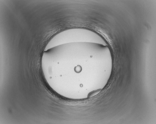 X0000115780017200912041501