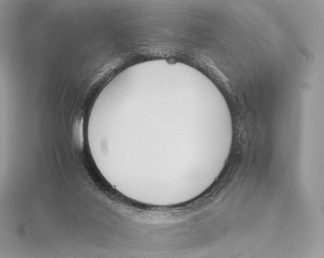 X0000115780020200912041501