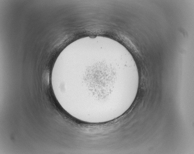 X0000115780021200912041501