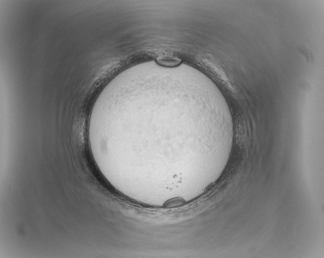 X0000115780023200912041501