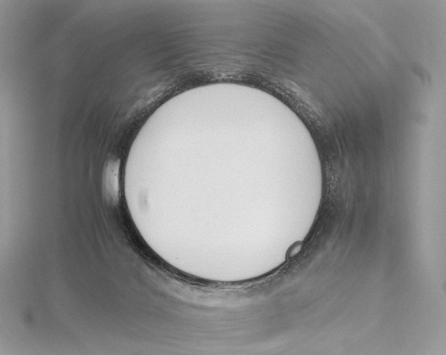 X0000115780028200912041501