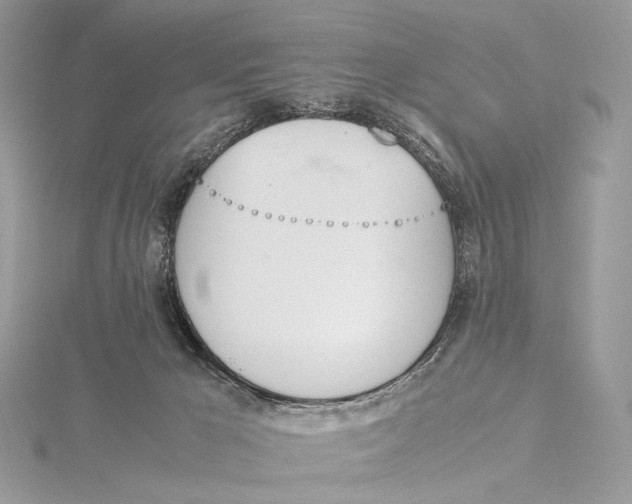 X0000115780029200912041501