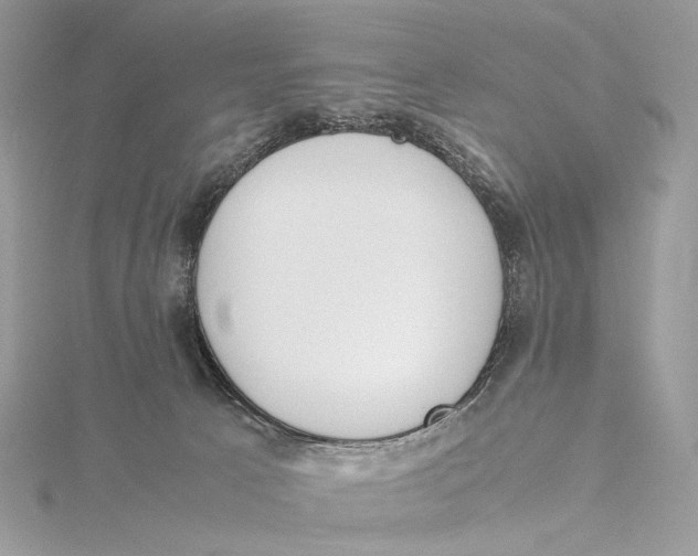 X0000115780033200912041501