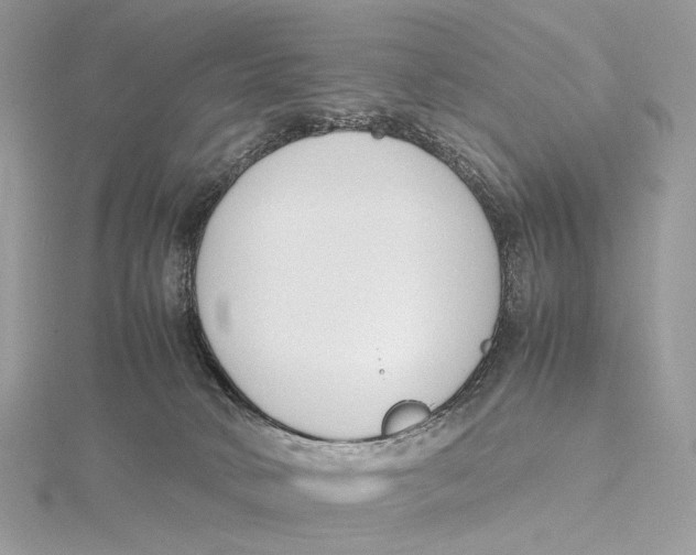 X0000115780034200912041501