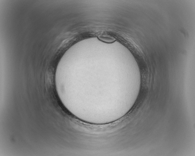 X0000115780035200912041501