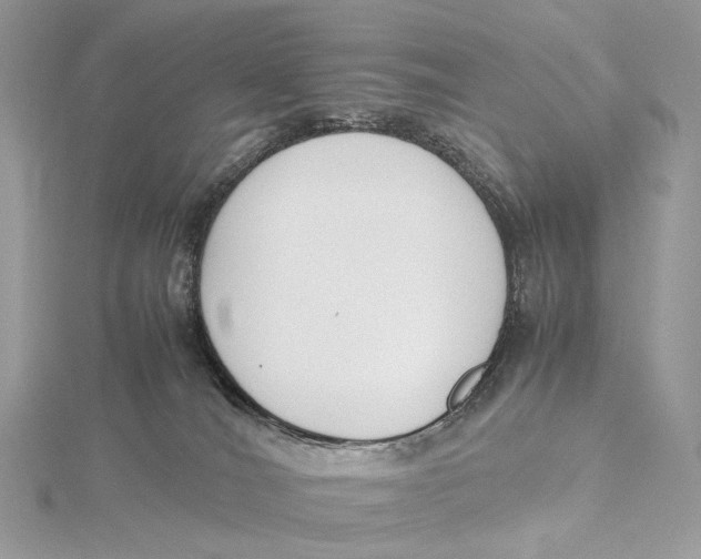 X0000115780036200912041501