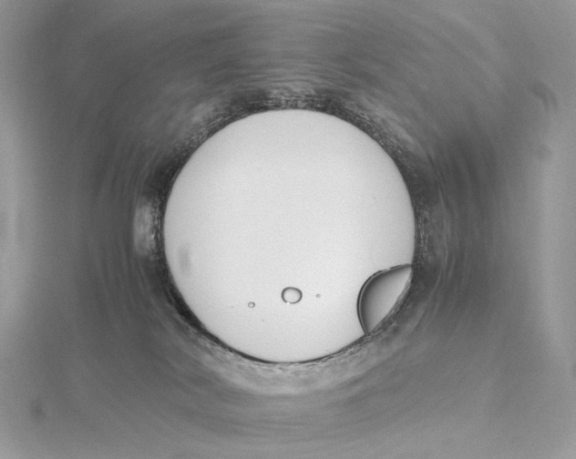 X0000115780038200912041501