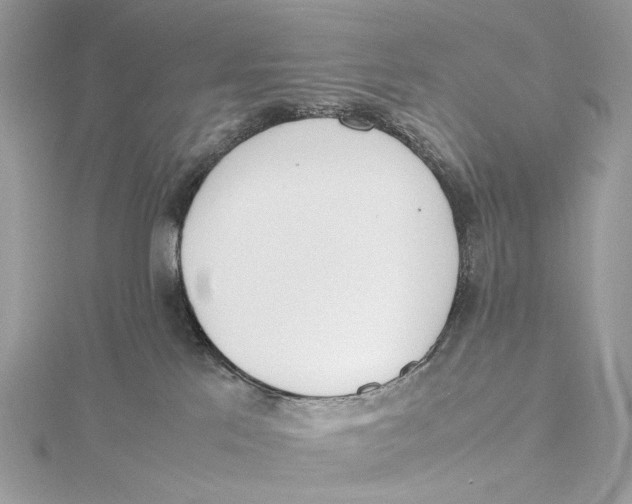 X0000115780041200912041501