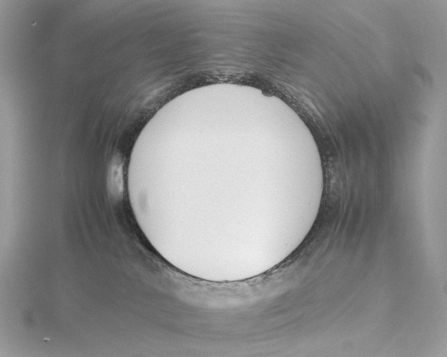 X0000115780042200912041501