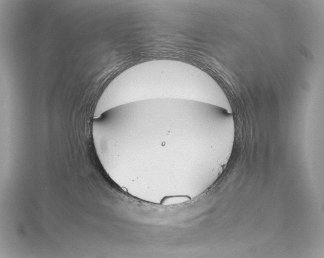 X0000115780043200912041501