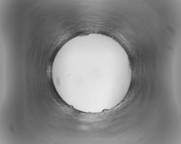 X0000115780045200912041501