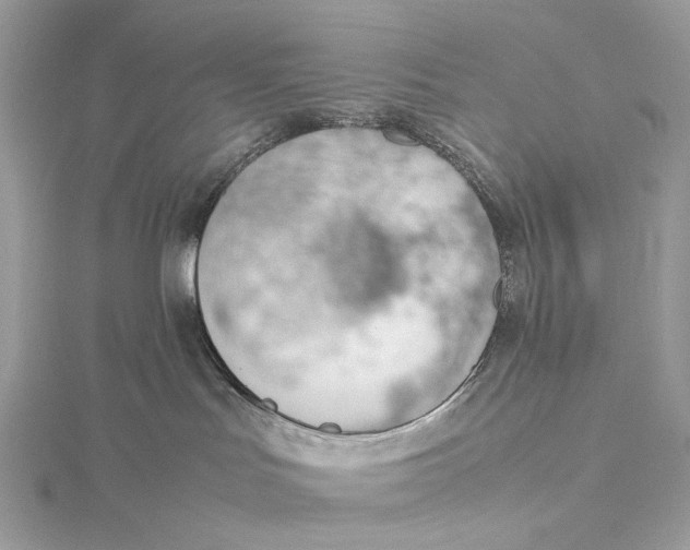 X0000115780047200912041501