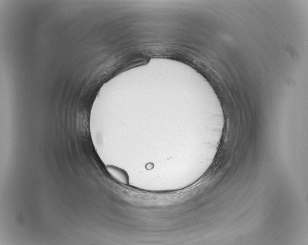 X0000115780048200912041501