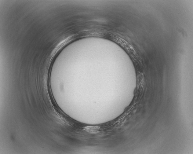 X0000115780051200912041500