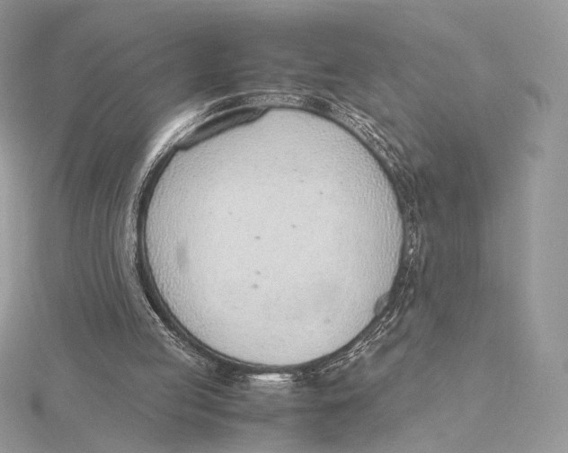 X0000115780053200912041500