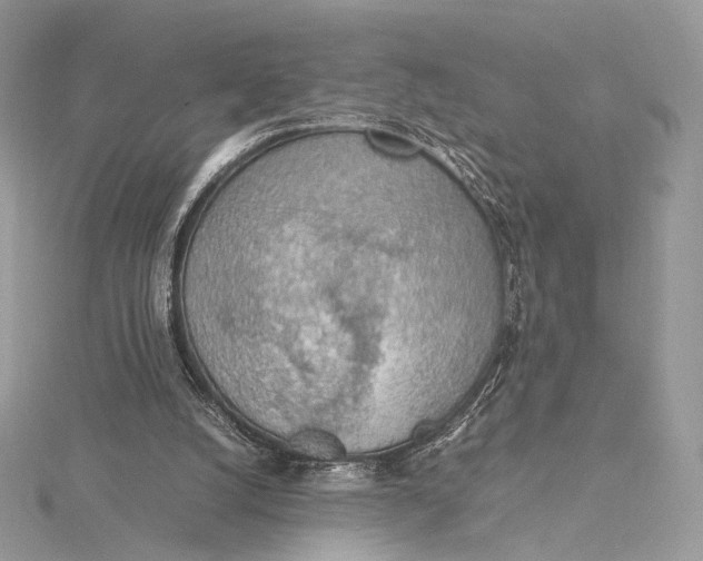 X0000115780056200912041500