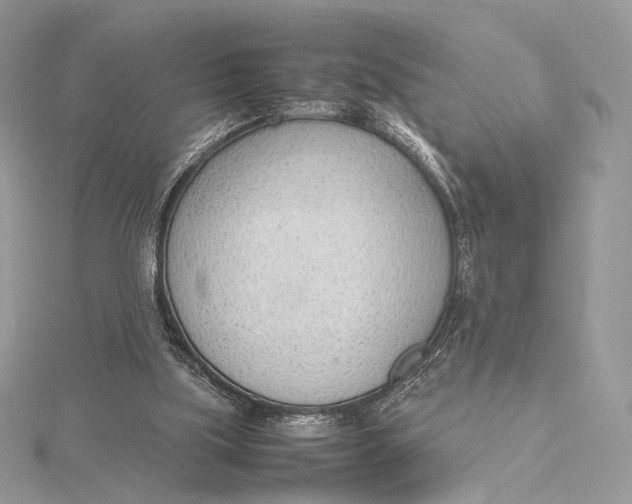 X0000115780059200912041500