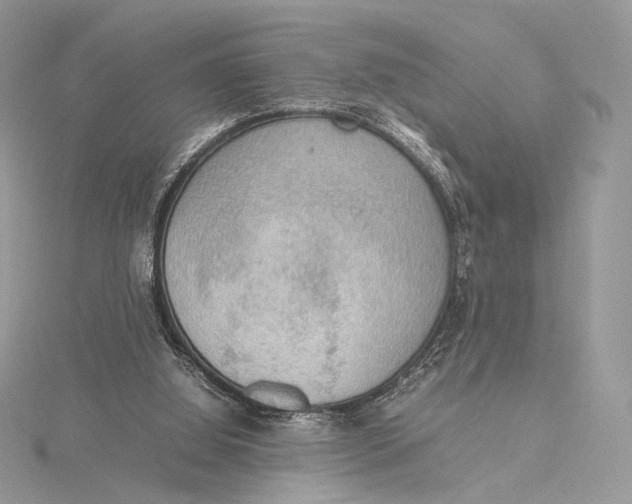 X0000115780060200912041500