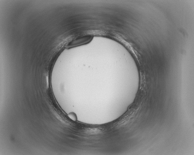 X0000115780061200912041500