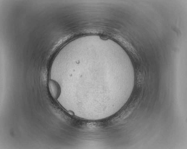 X0000115780064200912041500