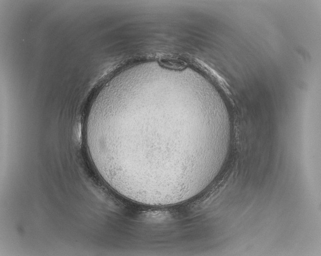 X0000115780067200912041500