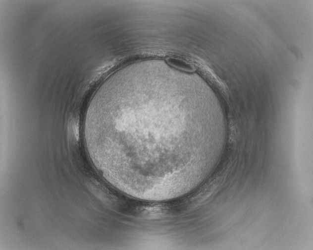 X0000115780068200912041500