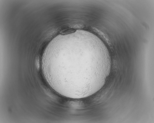 X0000115780069200912041500