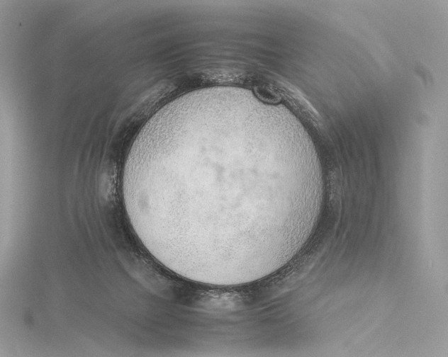 X0000115780073200912041500