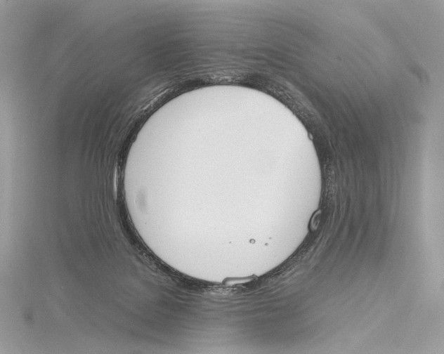 X0000115780076200912041500