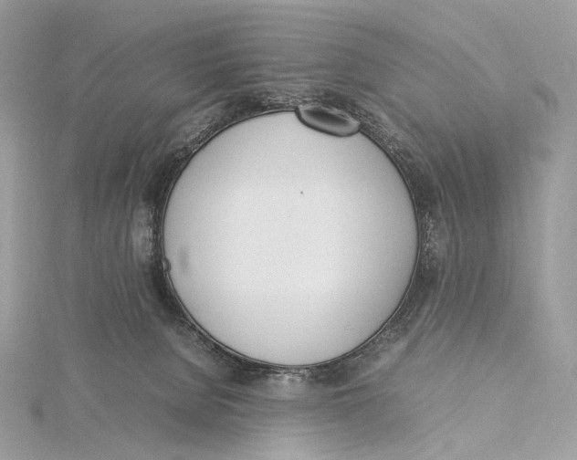 X0000115780080200912041500