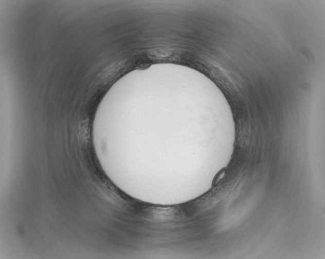 X0000115780085200912041500