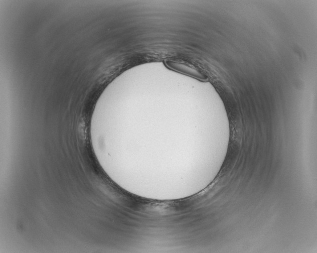 X0000115780086200912041500