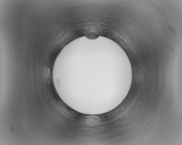 X0000115780087200912041500