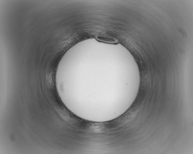 X0000115780088200912041500