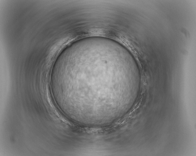 X0000115780097200912041500