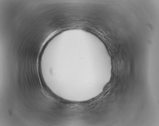 X0000115780100200912041500