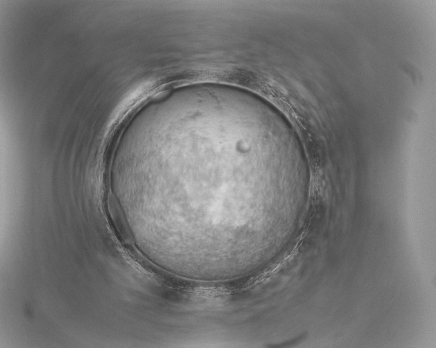 X0000115780101200912041500