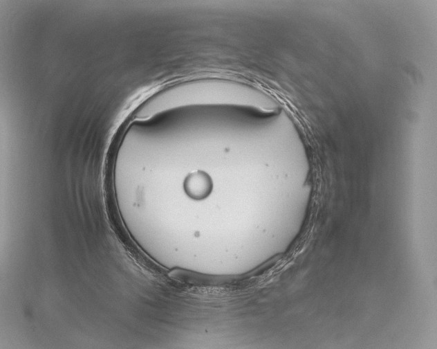 X0000115780104200912041500