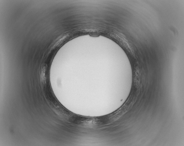 X0000115780116200912041459