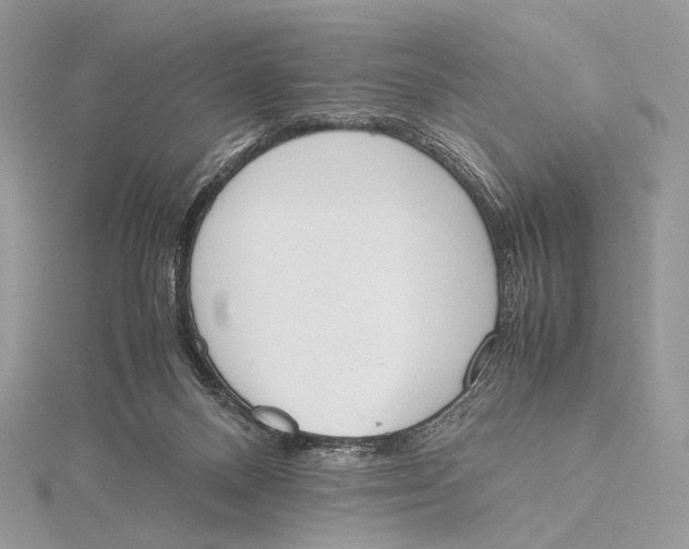 X0000115780120200912041459