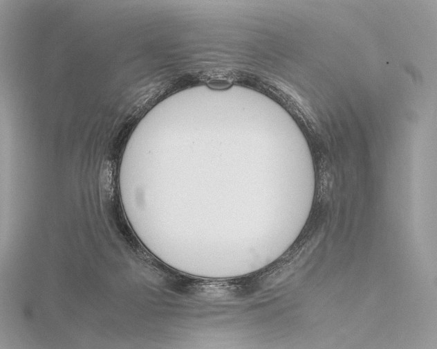 X0000115780121200912041459