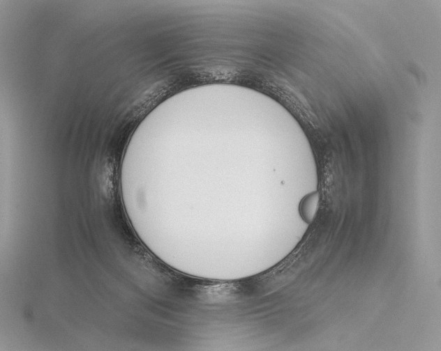 X0000115780122200912041459