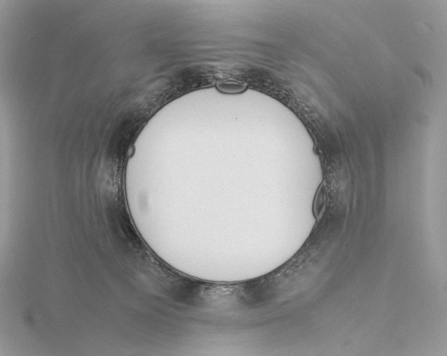 X0000115780129200912041459