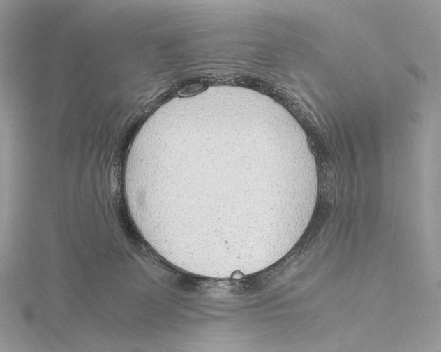 X0000115780131200912041459