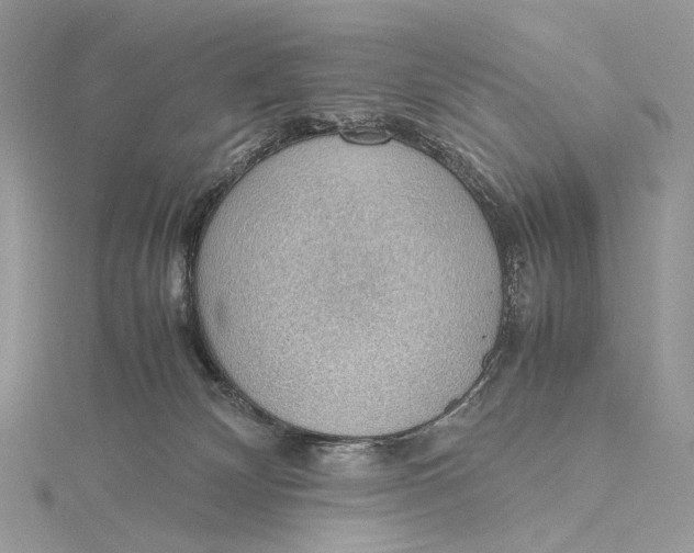 X0000115780132200912041459