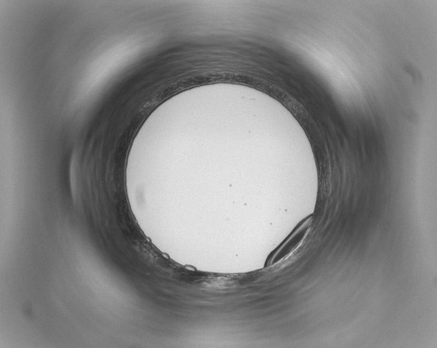 X0000115780140200912041459